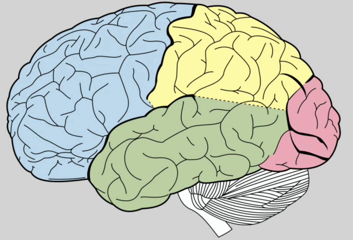Claves para una evaluación neuropsicológica eficaz, humana y orientada a la intervención
